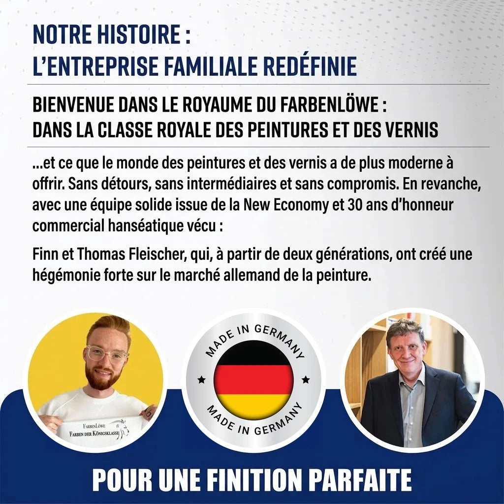 Page de marketing pour Farbenlöwe, une entreprise de peinture allemande 'Made in Germany', avec Finn et Thomas Fleischer.