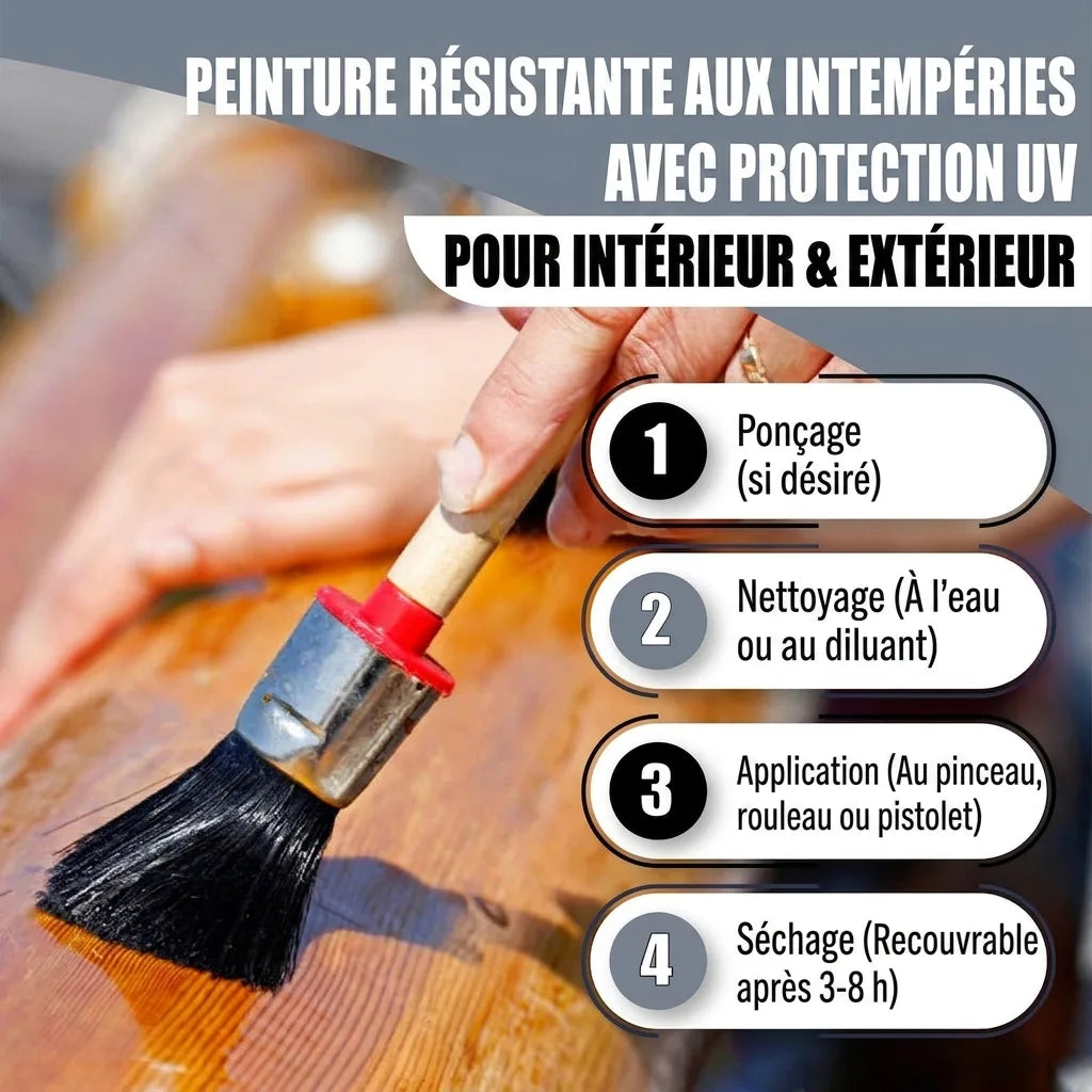 Peinture extérieure/intérieure avec protection UV. Guide d'application : ponçage, nettoyage, peinture au pinceau, séchage.