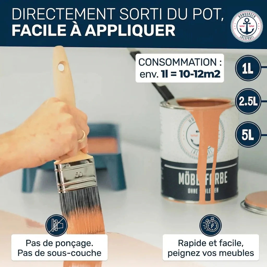 Peinture "MÖBEL & FREUBLES" pour meubles. Pinceau, pot de peinture. Sans ponçage ni sous-couche.