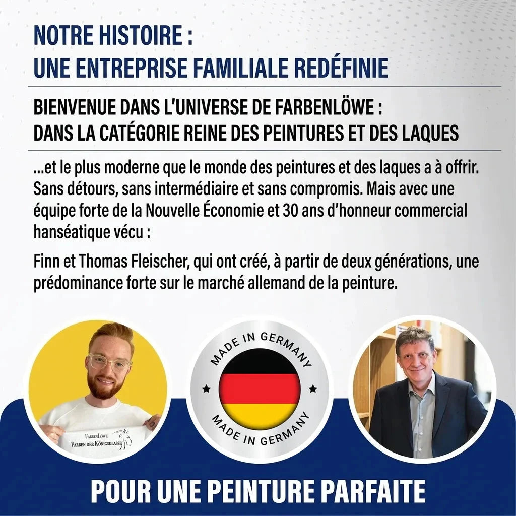 Infographie entreprise familiale allemande de peinture. Présente Finn et Thomas Fleischer, qualité « Made in Germany ».